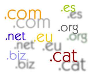 Registro dominios. Dominios genéricos, territoriales y multilingües