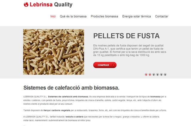 Sistemes de calefacció amb biomassa - Lebrinsa Quality 1