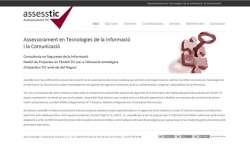 Assessoramient TIC - Assesstic